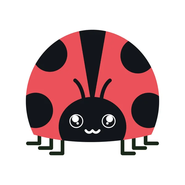 Carino coccinella insetto kawaii personaggio — Vettoriale Stock