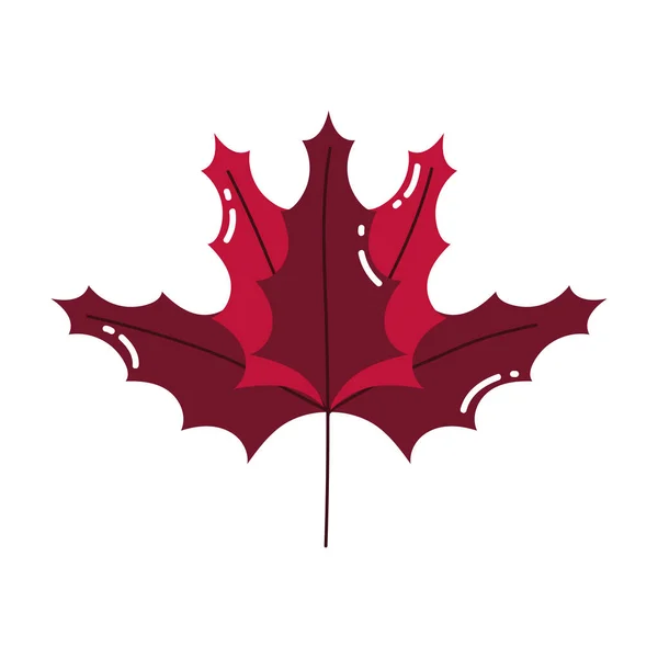 Herfst blad blad decoratie pictogram — Stockvector