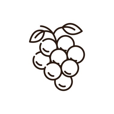 İzole edilmiş üzüm ikonu çizgisi vektör tasarımı