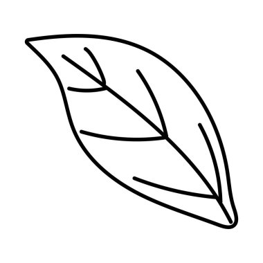 İzole yaprak tasarım vektör illüstrasyon