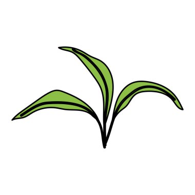 yeşil yapraklı ekoloji iocn