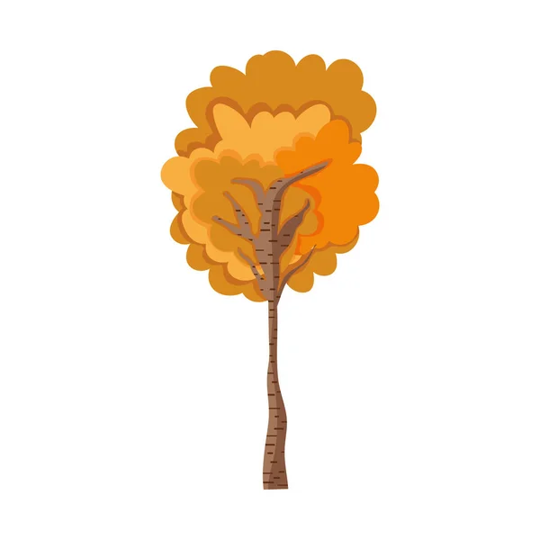 乔木叶状植物的自然秋天 — 图库矢量图片
