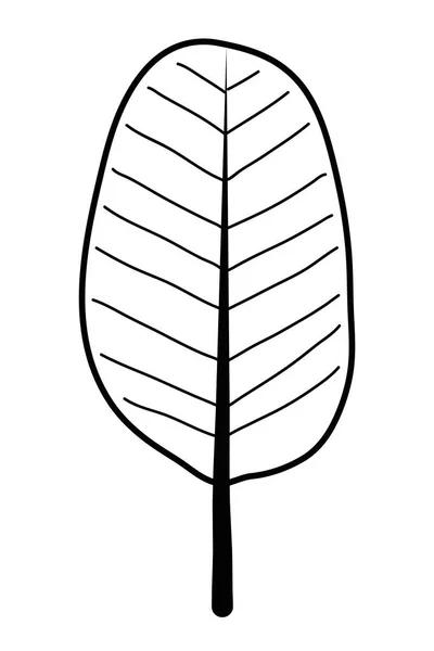 Illustrazione vettoriale isolata del disegno delle foglie — Vettoriale Stock