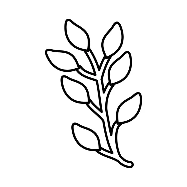 Folhas plantas jardim natureza ícone —  Vetores de Stock