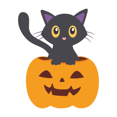 hile veya tedavi - mutlu cadılar bayramı