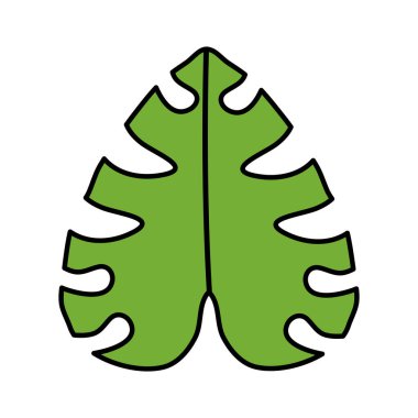 egzotik ve tropikal yaprak bitki