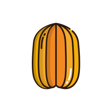 İzole yıldız meyve ikonu doldurma vektör tasarımı