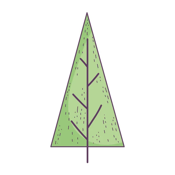 Pine tree foliage botanical cartoon icon — Stok Vektör