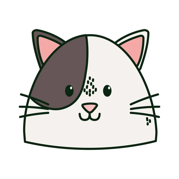 Милий кіт біло-коричнева голова — стоковий вектор