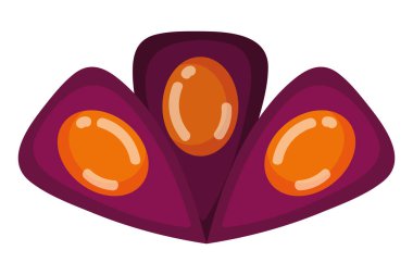 İzole süs tüyleri vektör tasarımı