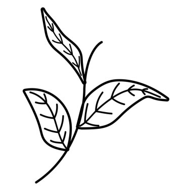 İzole yaprakları tasarım vektör illüstrasyon