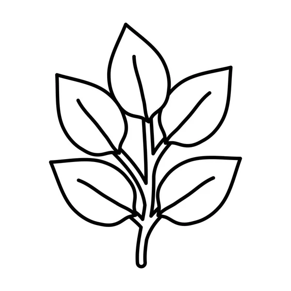 Hojas plantas jardín naturaleza icono — Vector de stock