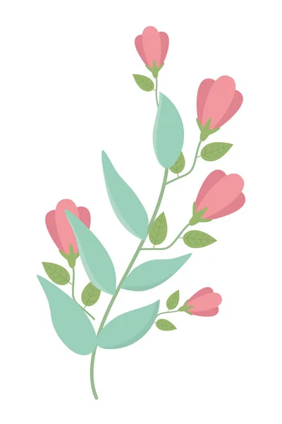 Isolated rustic leaves and flowers design — Archivo Imágenes Vectoriales