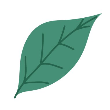 İzole yaprak tasarım vektör illüstrasyon