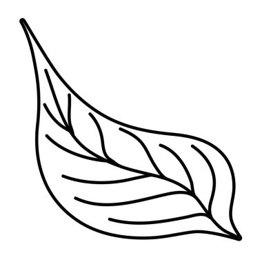 İzole yaprak tasarım vektör illüstrasyon