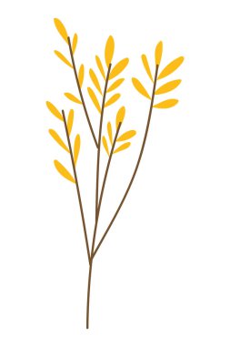 İzole yaprak tasarım vektör illüstrasyon