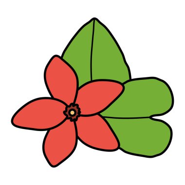 Yaprak bahçeli egzotik ve tropik bir çiçek.