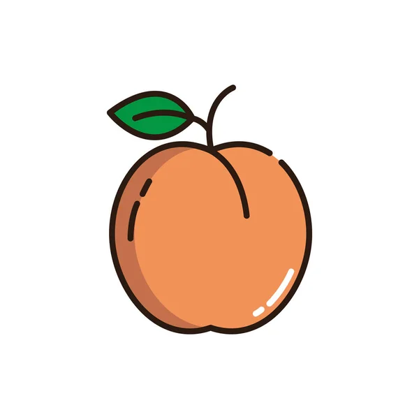 Isolerad aprikos ikon fylla vektor design — Stock vektor