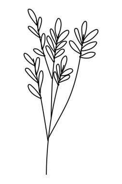 İzole yaprak tasarım vektör illüstrasyon