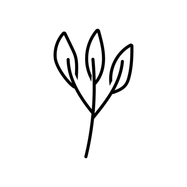 Decorative nature foliage leaves branch icon thick line — Stock vektor
