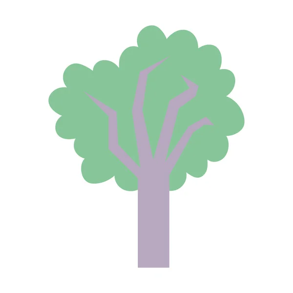 Ősz fa erdő lombozat természetes — Stock Vector
