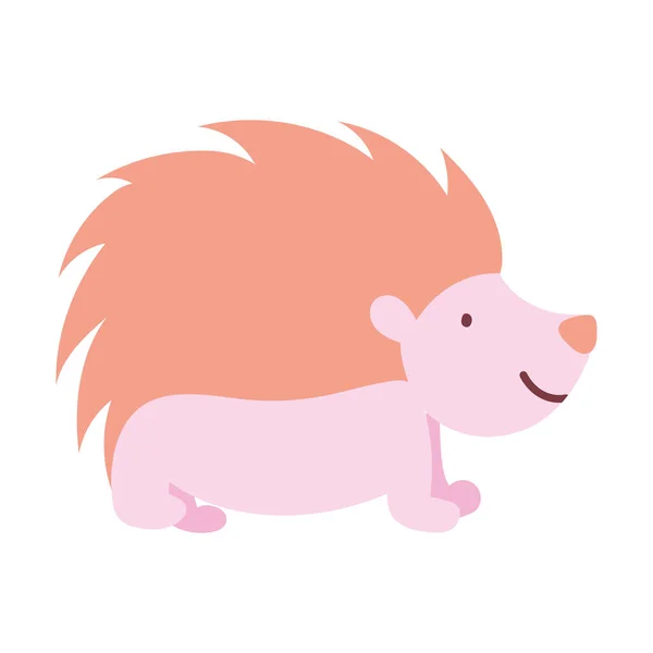 Hedgehog fauna forest wildlife design icon — Stockový vektor