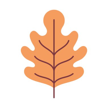 natural leaf foliage autumn on white background