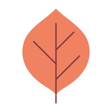 natural leaf foliage autumn on white background