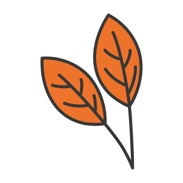 叶枝植物学设计 — 图库矢量图片