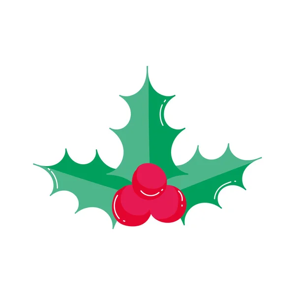 Merry christmas celebration holly berry leaves decoration — Vetor de Stock