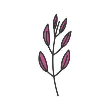 beyaz arkaplanda dallanma doğası sonbahar