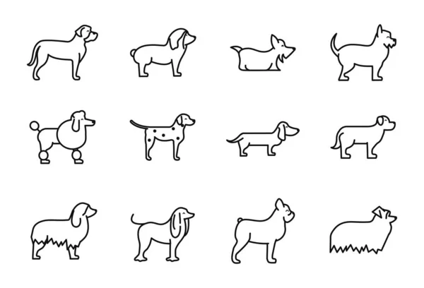 Set of dogs breed standing icons linear style. — Vector de stock