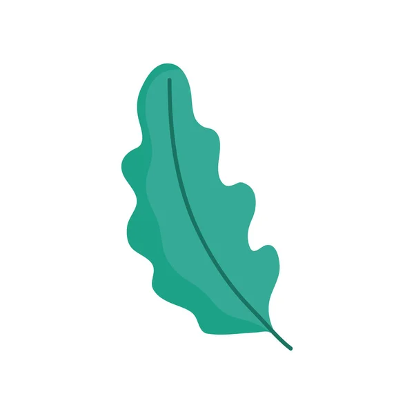 Feuille folaige nature icône botanique — Image vectorielle