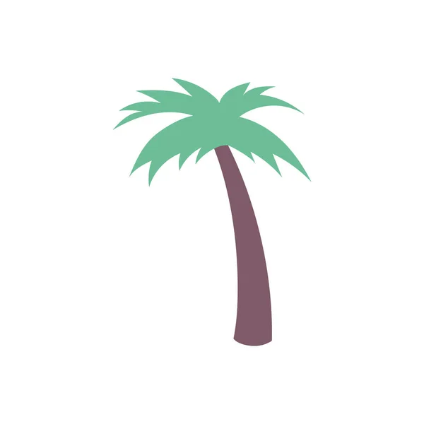 Palm tree of summer season design — Stock Vector