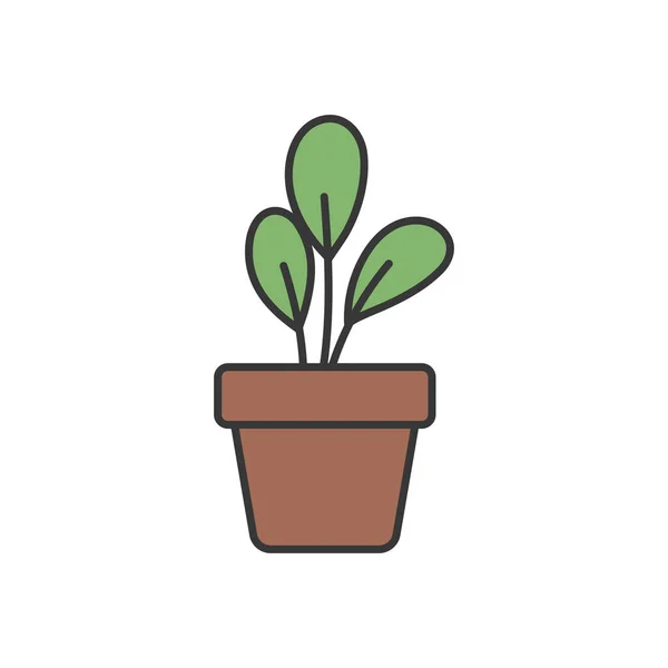Geïsoleerde plant in pot vector ontwerp — Stockvector