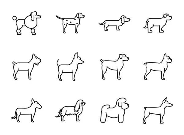 Zestaw psów rasy ikony stojące w stylu liniowym — Wektor stockowy