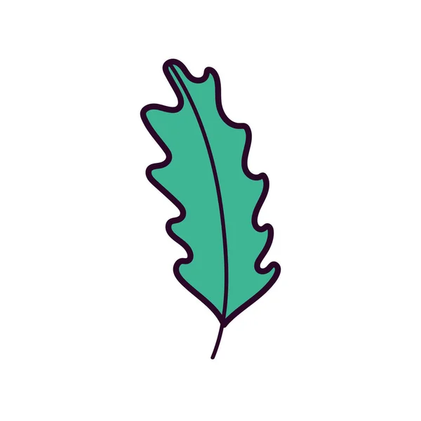 Leaf foliage nature icon on white background — Stok Vektör