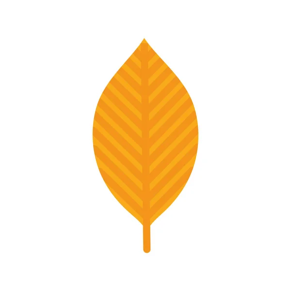 Natural leaf foliage autumn on white background — Stock vektor