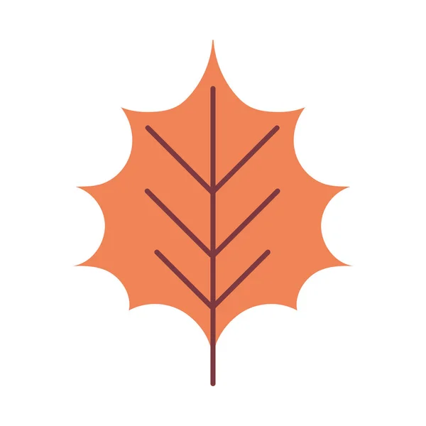 Jesień liść natura liście na białym tle — Wektor stockowy