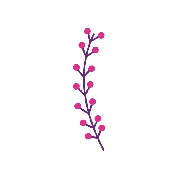枝干浆果植物图标 — 图库矢量图片