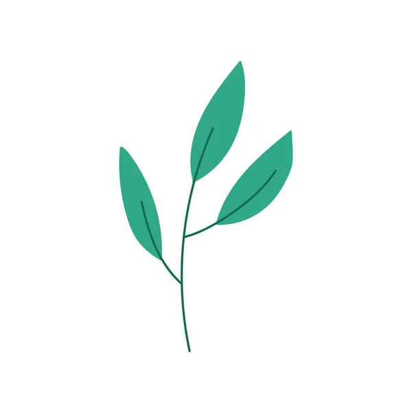 Branch foliage deja un icono de decoración orgánica — Vector de stock