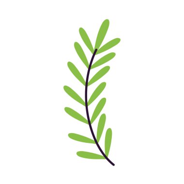 foliage leaves branch nature icon