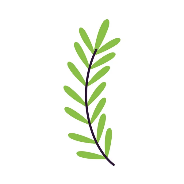 Foliage leaves branch nature icon — ストックベクタ