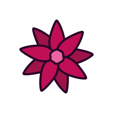 flower decoration nature on white background