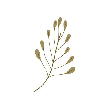 İzole edilmiş yapraklar vektör tasarımı çiziyor