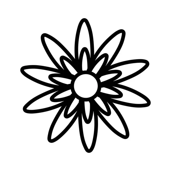 Design de vetor de ornamento de flores isolado —  Vetores de Stock