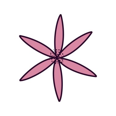 flower decoration nature on white background