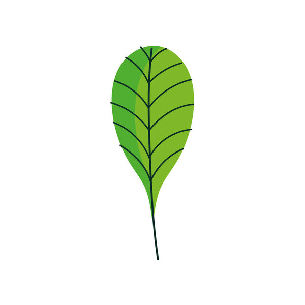 leaf foliage botanical nature icon design