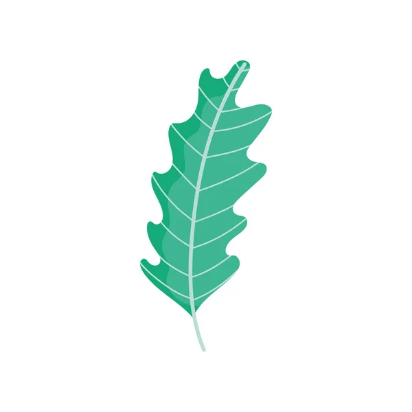 Leaf foliage nature icon on white background — ストックベクタ