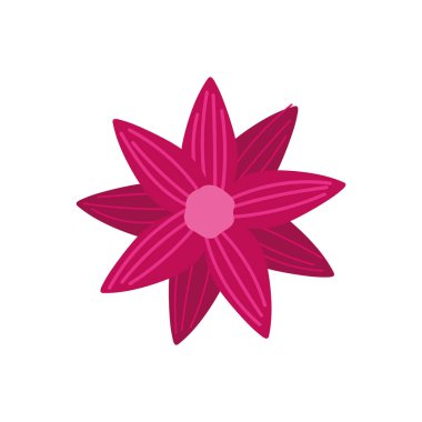 flower decoration nature on white background